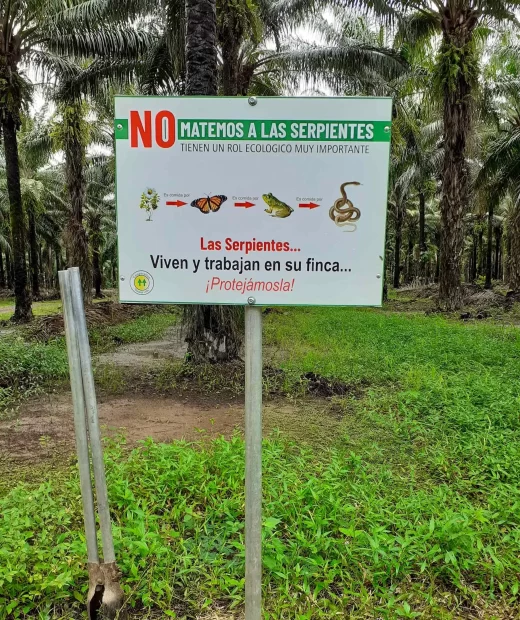 Rotulación no Matemos las Serpientes